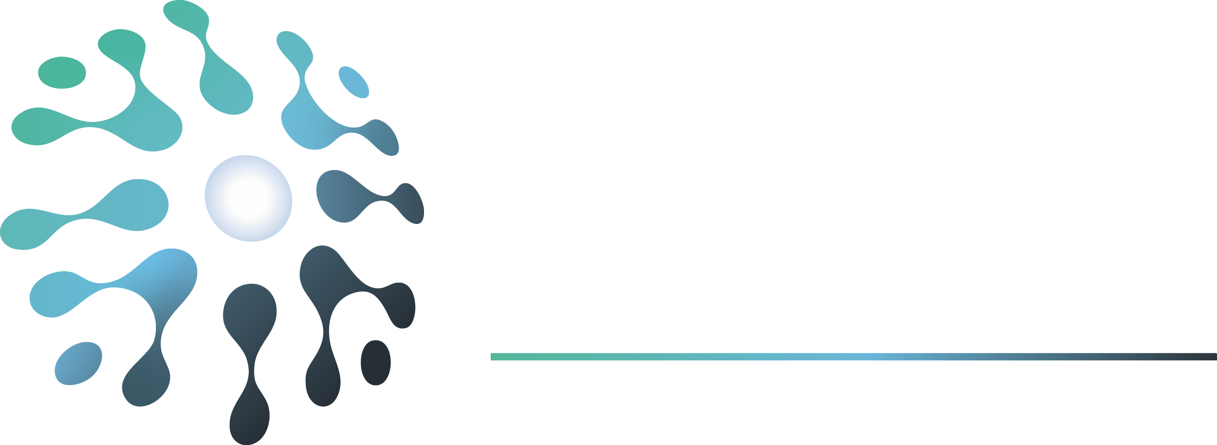 IPS_LOGOTIPO_VECTORES-13